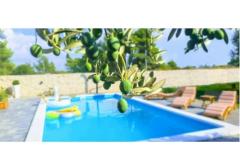 Villa Dora Appartement 1 – Villa Dora foto 1