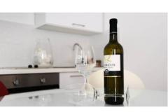 Appartements Udovičić Appartement 2 – App.1(2+2) foto 3