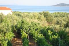 Antonela  Appartement 4 – Seaview D foto 4