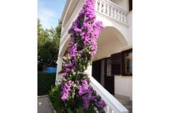 Vila Lana Appartement 1 foto 2