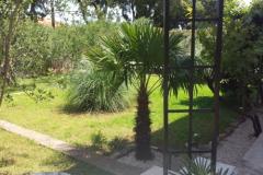 Appartement Korina Appartement 1 foto 5