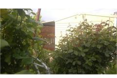 Appartements DANI Appartement 1 – HomeM. M4 foto 5