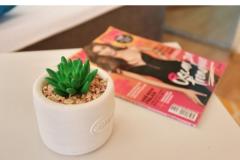 Appartements Zadar Maison Appartement 4 – Apartment4 foto 5