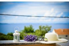 Villa IBIS Appartement 3 – Ap3 foto 1