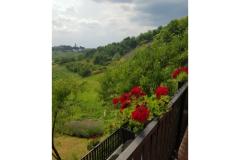 Appartements Potočki Appartement 1 – Apartman 1 foto 1