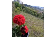 Appartements Potočki Appartement 2 – Apartman 2 foto 1