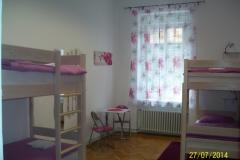 Chameleon hostel Chambre 2 foto 1