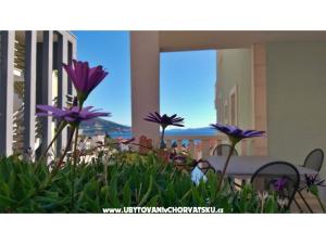 Appartements DaMa