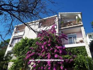 Appartements Moso