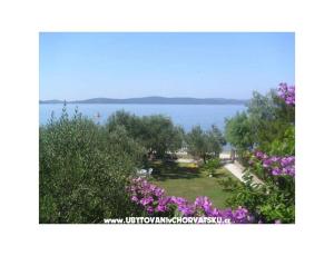 Appartements Anđela