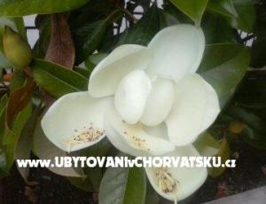 Appartements Magnolija