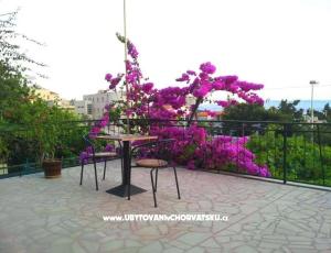 Maison Biokovo