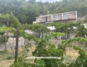 Appartements Stanic
