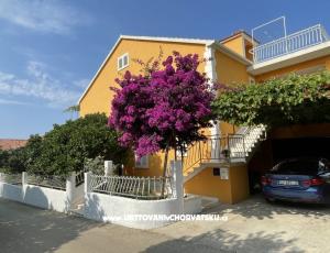 Appartements  Ante