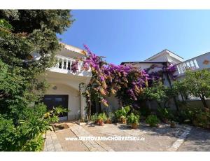 Appartements Kamelija