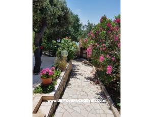 Appartements Milena i Robert