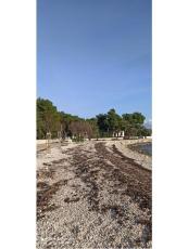 Appartements Traum