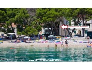 Appartements u dvou palem