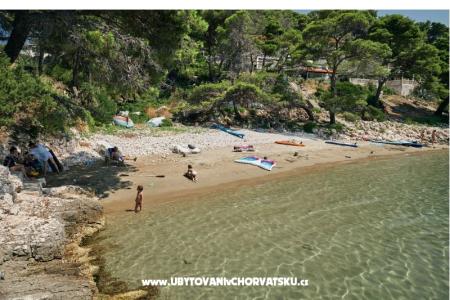 Appartements Ivo Mljet foto 4