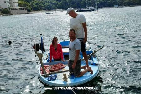 Appartements Ivo Mljet foto 5