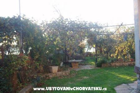 Appartements and Maison Spika foto 5