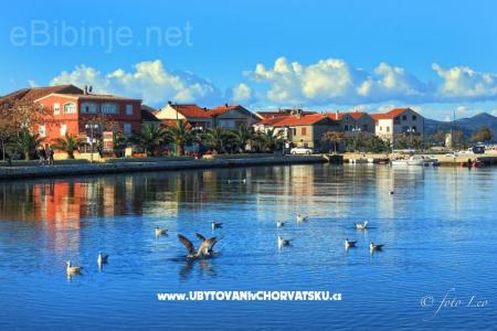 Appartements Filip foto 3