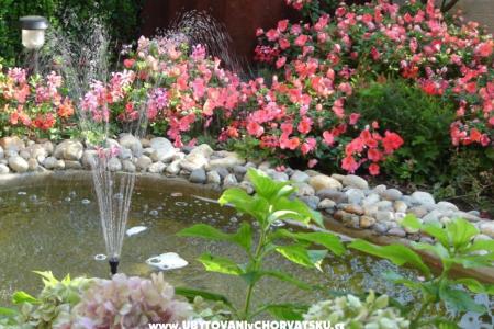 Appartements Gojka Miočević foto 4