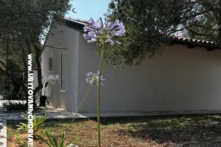 Primorje – Biograd Croatie