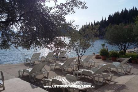 Appartements Ana foto 2