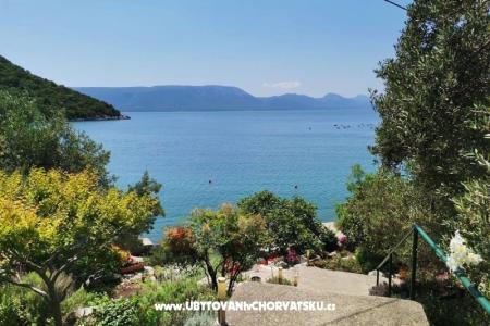 Appartements Maja Blace Croatie