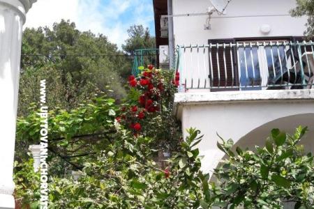 Appartement Seaside foto 3