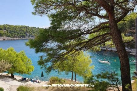 Appartements Rogosic Osibova foto 2