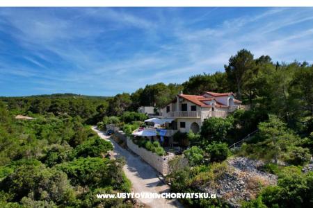 Appartements Villa Dragica foto 5