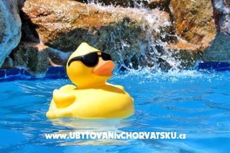 Appartements St. Ivan île Brac Croatie