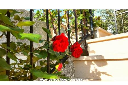 Apartmani Bezma foto 3