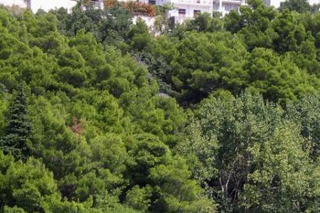 Appartements Nela foto 5