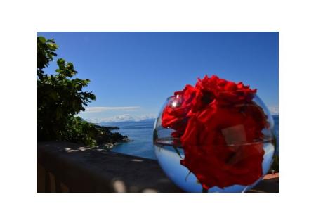 Appartements Perla Brela Croatie