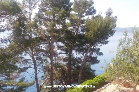 Appartements Vesna  - Brela foto 4