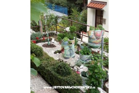 Apartmani  Ivo Pikolo foto 5