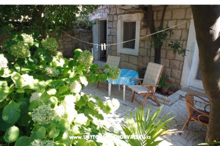 Appartement Milu foto 3