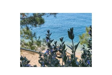 Maison de vacances foto 4