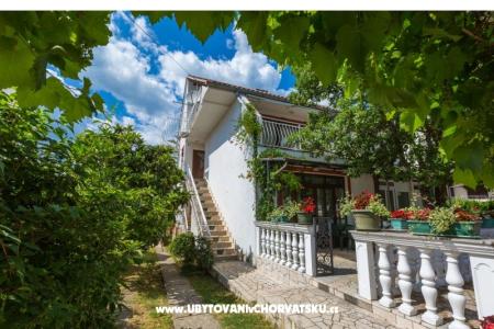 Luka Sočković foto 2