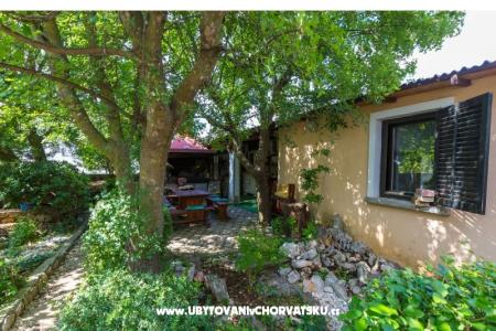 Luka Sočković foto 4