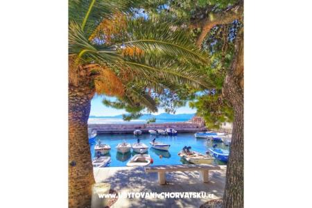 Appartements Jagmić foto 3