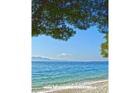 Delić Appartements  foto 5