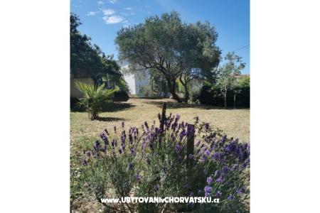 Appartements Dijana foto 2