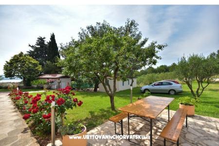 Appartements Miluška foto 5