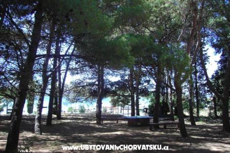 Appartements PARK foto 5