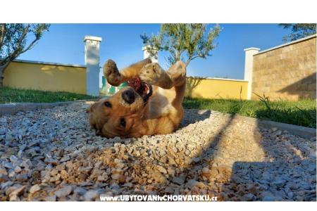 Beach Maison Amarella foto 3