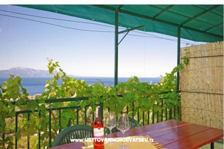 Appartements i sobe Maslina foto 5